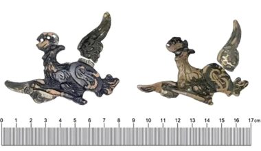 Eagle emblems of soldiers discovered at battlefield site in Poland