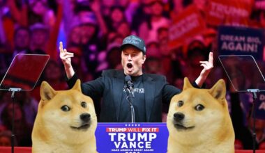 What's DOGE? Musk's new political appointment under Trump is a crypto joke
