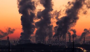 Forgotten greenhouse gases: methane, nitrous oxide, and fluorinated gases under scrutiny