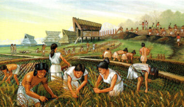 Prehistoric Central European women’s manual labor was tougher than rowing in today’s boat crews.