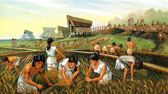 Prehistoric Central European women’s manual labor was tougher than rowing in today’s boat crews.