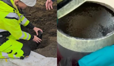 In Norway, Viking-era Burial Reveals 19th-century Archaeologist’s Hidden Message