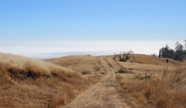California voters pass $10B bond measure funding environmental projects