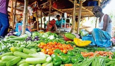 Economy News Today Live Updates on November 14, 2024: Mint Primer | All about the inflation spike: how, why & when
