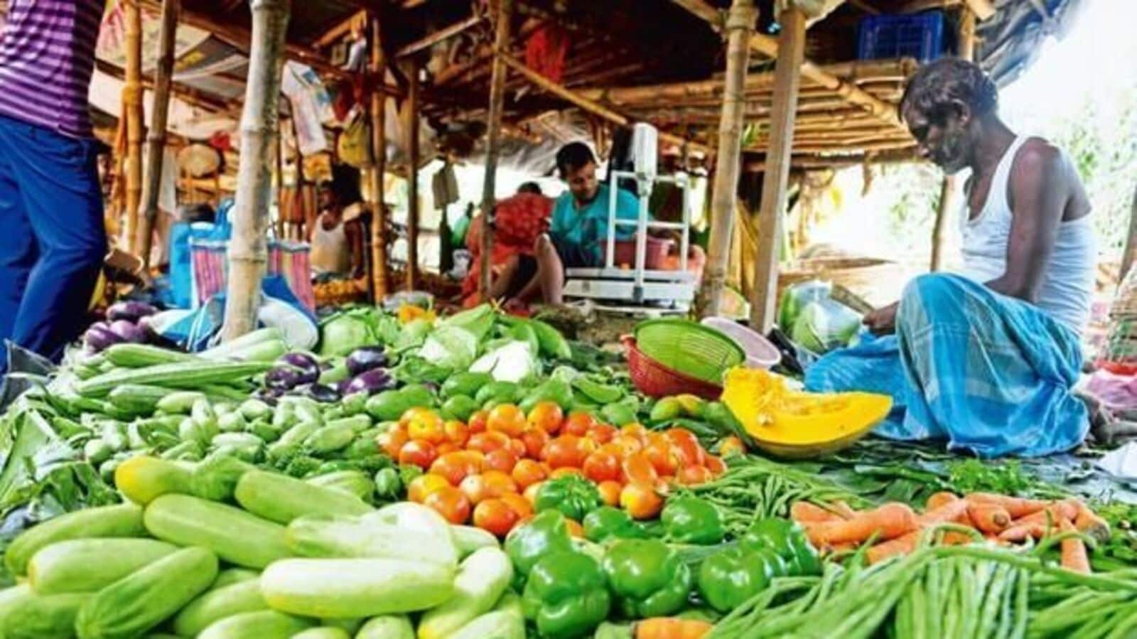 Economy News Today Live Updates on November 14, 2024: Mint Primer | All about the inflation spike: how, why & when