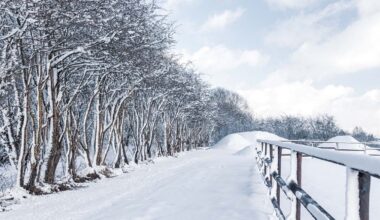 Météo: les prévisions sont formelles, la neige arrive cette semaine