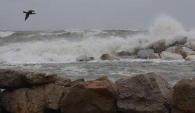 Maltempo, sassi in strada e allagamenti a Marina di Pisa