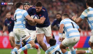 EN DIRECT - France-Argentine : après le Japon et la Nouvelle-Zélande, le XV de France affronte les "Pumas" - TF1 INFO