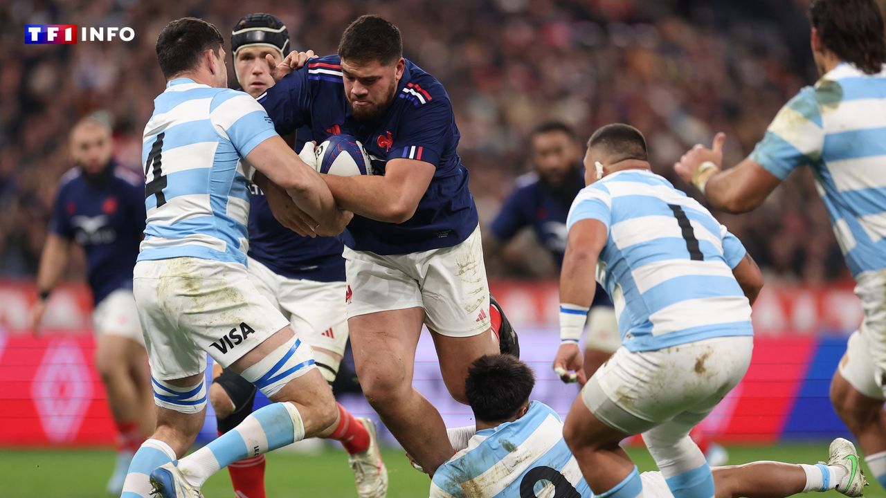 EN DIRECT - France-Argentine : après le Japon et la Nouvelle-Zélande, le XV de France affronte les "Pumas" - TF1 INFO