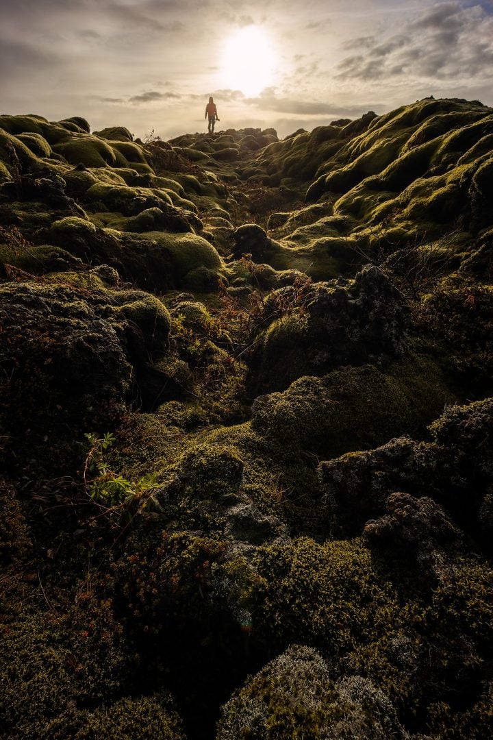 I dropped my camera into the ocean in Iceland. Let me share my lessons 