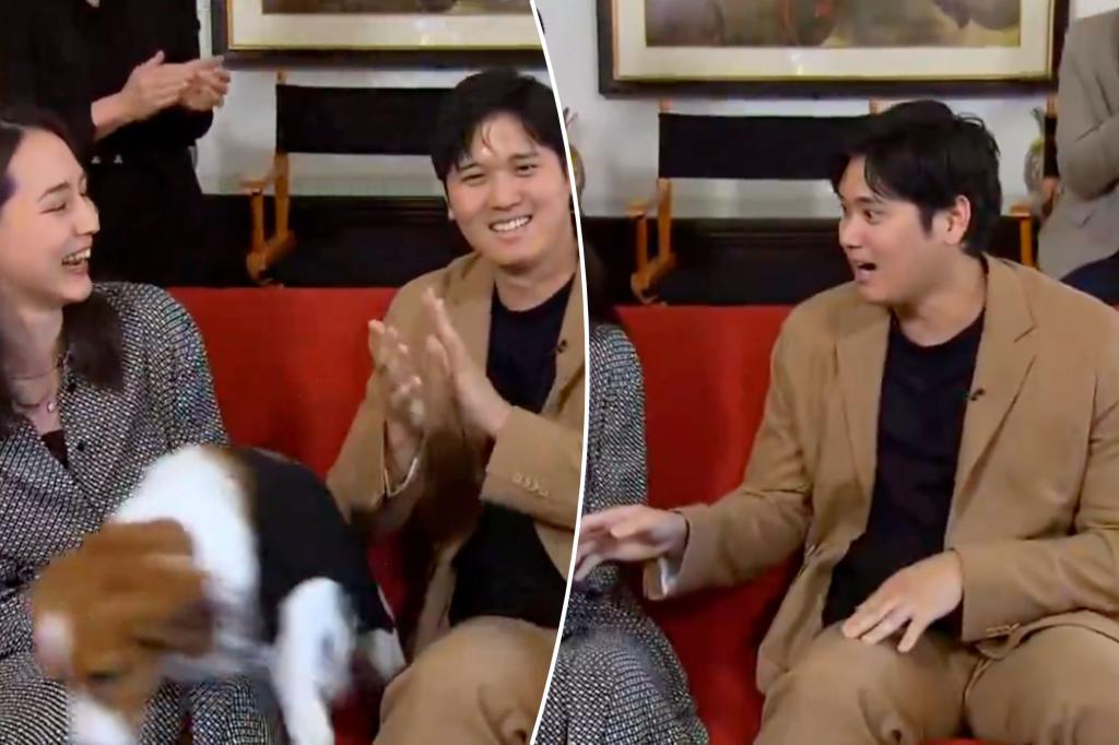 Shohei Ohtani's dog steals show again at NL MVP announcement