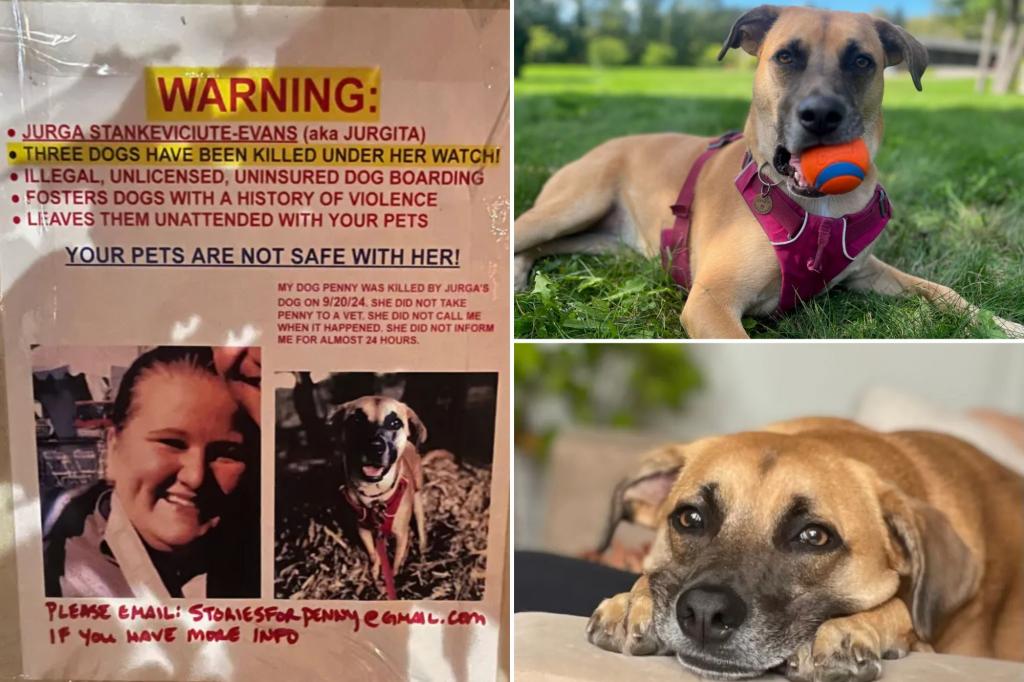 Unlicensed NYC boarder’s business operating despite at least 3 dog deaths: grieving pooch owners