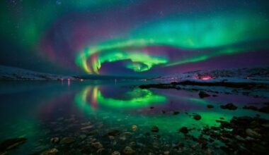 Northern Lights Adventure Awaits Could 50 Degrees North’s New 8-Day Tour Across Norway and Sweden Redefine Arctic Travel for Globetrotters Seeking Unforgettable Experiences?