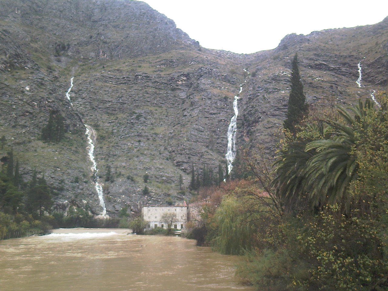 Ombla River