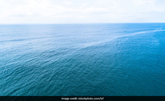 Worlds Largest Oceanic Predator-Prey Event Recorded Off Norway Coast