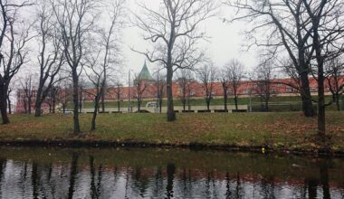 Autumn to continue for a while in Latvia / Article
