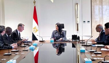 Dailynewsegypt