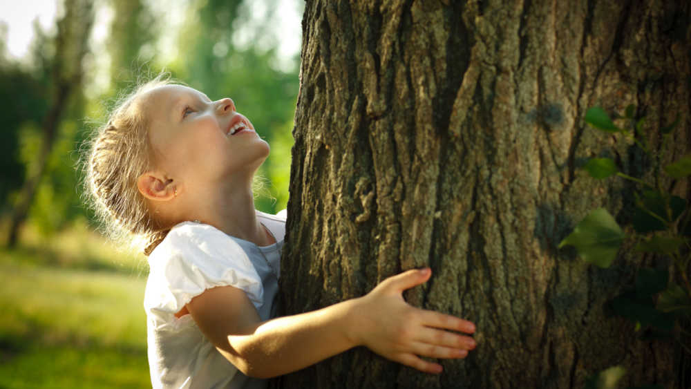 Child hugging tree