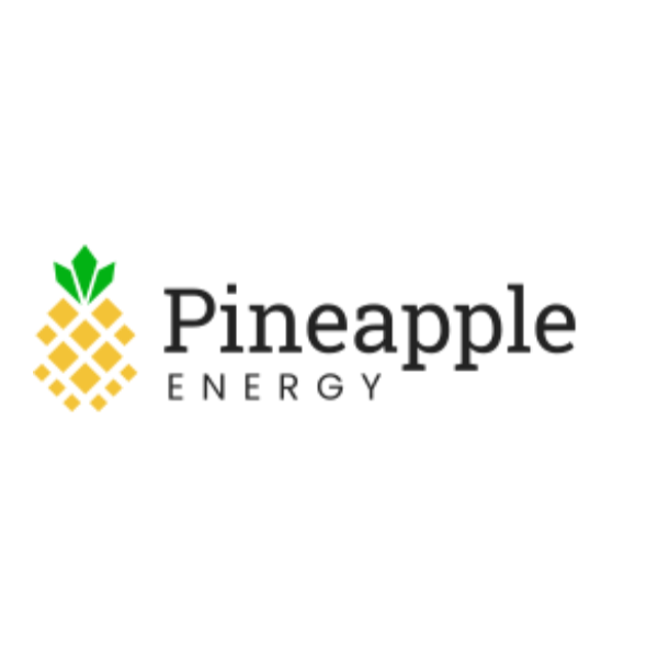 Pineapple Energy Rebrands as SUNation Energy Following Unanimous Shareholder Approval