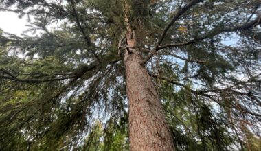 Letter to the editor: Time to rethink our approach to the environment