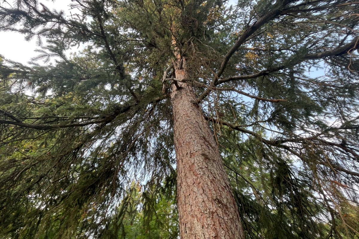 Letter to the editor: Time to rethink our approach to the environment