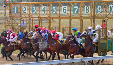 Horse racing halted in France as industry rallies against tax hikes