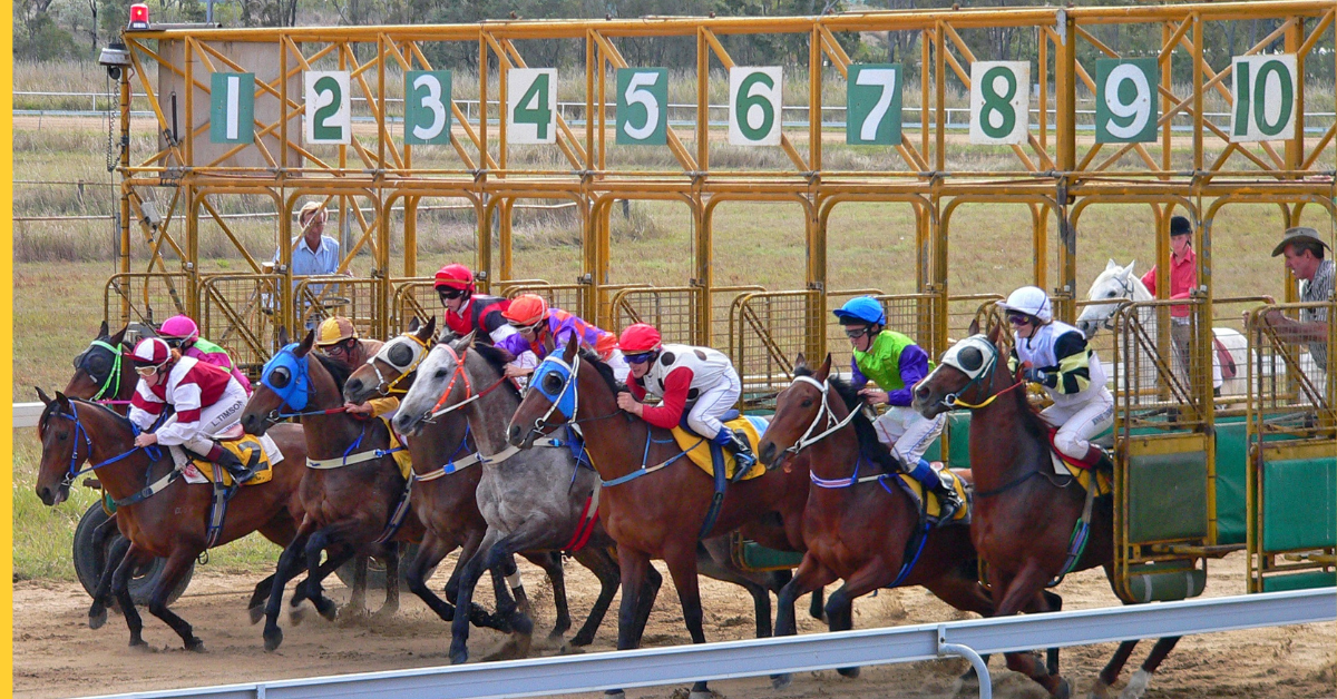 Horse racing halted in France as industry rallies against tax hikes