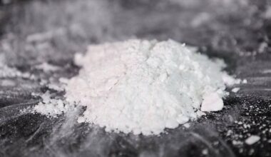 Drogendealer festgenommen: Kokain bleibt in der Schweiz zugänglich und billig