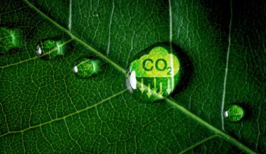 Iceland launches project for CO2 conversion into marine fuel