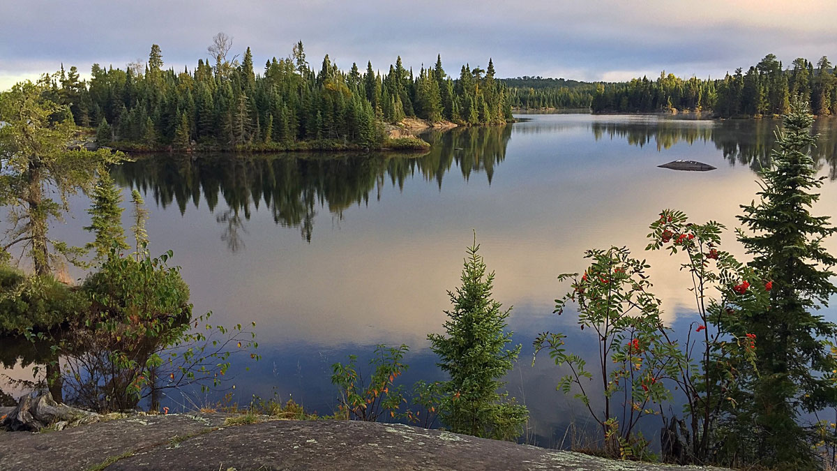 The Five States Where Environmental Ballot Initiatives Triumphed