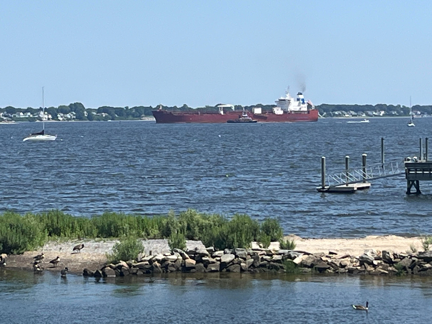 Is This The Year Of Peak Energy Emissions?