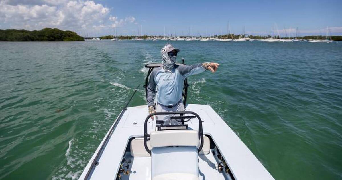 Climate change in Florida: Shrinking mahi population, home insurance
