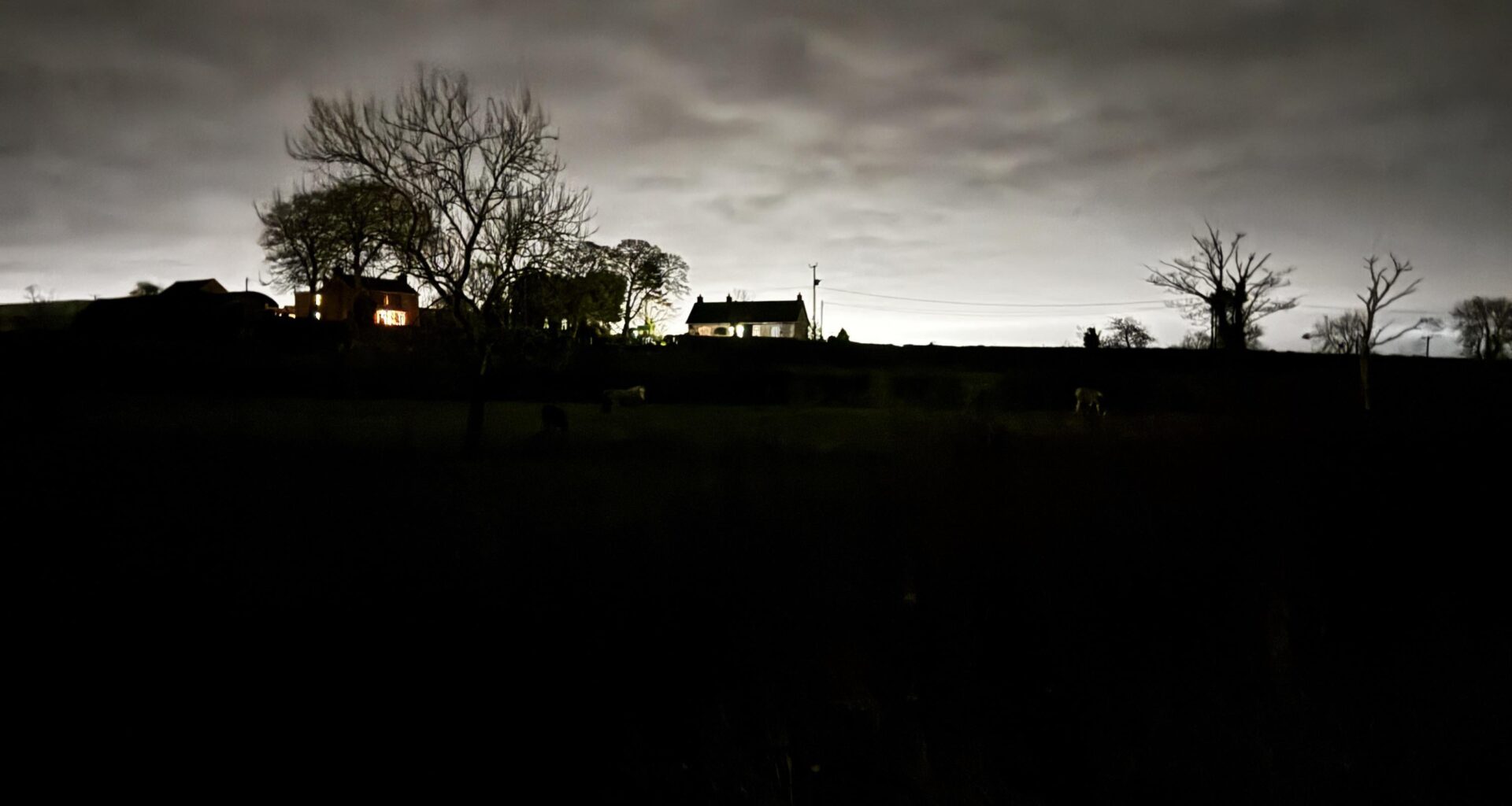 Just a nice night shot