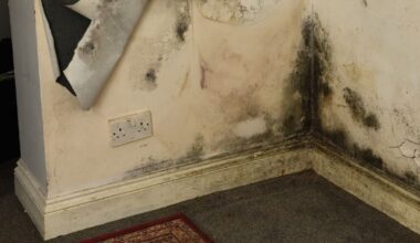 Inside Prince William's black mould-ridden rental properties slammed by tenants