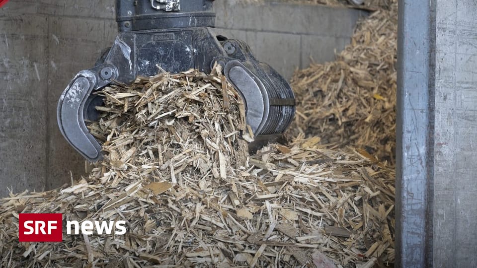 Wenig Recycling: Die Schweiz verheizt zu viel Holz - News