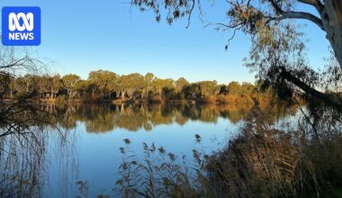 In Australia, it's 'easier to get a permit to destroy nature' than fix it. Here's why