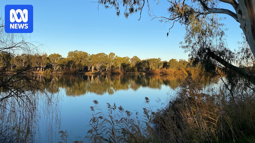 In Australia, it's 'easier to get a permit to destroy nature' than fix it. Here's why