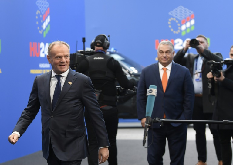Polish Prime Minister Donald Tusk (L) and Hungarian counterpart Viktor Orban (Ferenc ISZA)