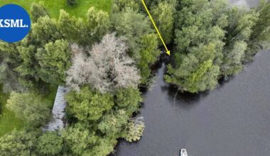 "Mikä on syvin järvi Keski-Suomi" – näin pariskunta yritti kätkeä ruumiin Äänekoskelle | Keski-Suomi