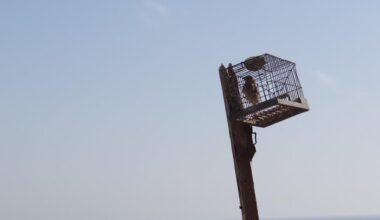 Large-scale finch trapping in Malta is not a legitimate research activity - EURING