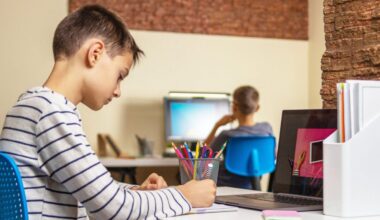 SDS bi v osnovne šole uvedla obvezni predmet računalništva in informatike