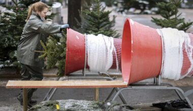 Schweizer stellen Weihnachtsbäume immer früher auf
