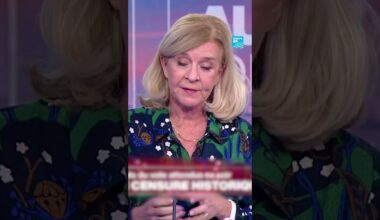 🇫🇷🗳️#MotionDeCensure : "Barnier manquait peut-être de souplesse dans les négociations" • FRANCE 24