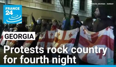 Georgia pro-EU protesters 'standing firm', president says, after fourth night of demonstrations