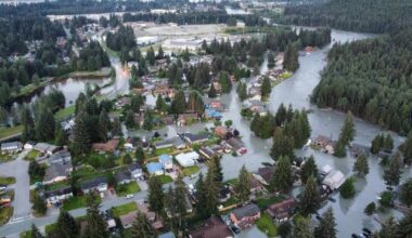 Alaska’s climate and environment continue to change, including in some ‘astounding’ ways