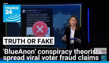 'BlueAnon' conspiracy theorists spread viral voter fraud claims after Trump victory • FRANCE 24