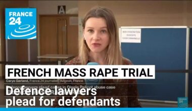 Defence lawyers plead for defendants in French mass rape trial • FRANCE 24 English