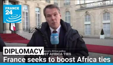 Nigerian state visit in Paris: France seeks to boost Africa ties • FRANCE 24 English