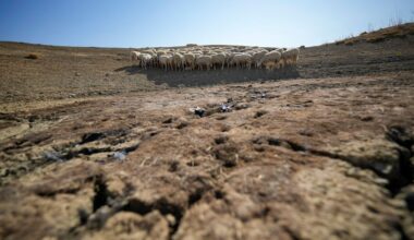 Earth's lands are drying out. Nations are trying to address it in talks this week