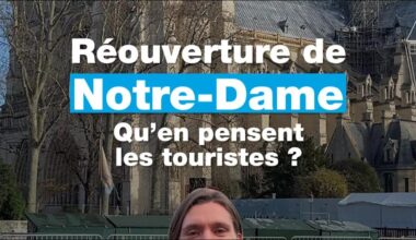 Que pensent les touristes de la réouverture de Notre-Dame de Paris ? • FRANCE 24